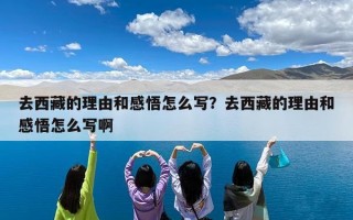 去西藏的理由和感悟怎么写？去西藏的理由和感悟怎么写啊