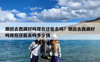 跟团去西藏好吗现在还能去吗？跟团去西藏好吗现在还能去吗多少钱