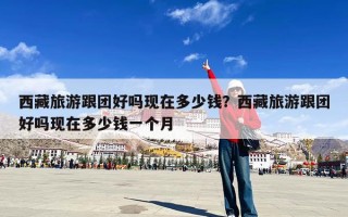 西藏旅游跟团好吗现在多少钱？西藏旅游跟团好吗现在多少钱一个月