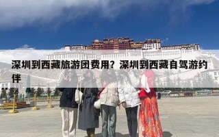 深圳到西藏旅游团费用？深圳到西藏自驾游约伴