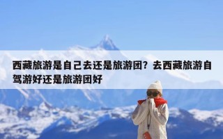 西藏旅游是自己去还是旅游团？去西藏旅游自驾游好还是旅游团好