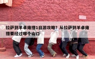 拉萨到羊卓雍措1日游攻略？从拉萨到羊卓雍措要经过哪个山口
