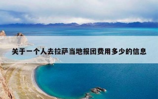 关于一个人去拉萨当地报团费用多少的信息
