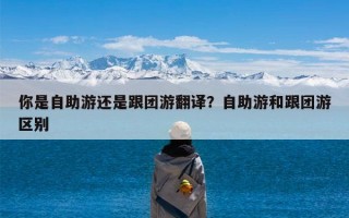 你是自助游还是跟团游翻译？自助游和跟团游区别