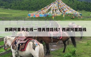 西藏阿里大北线一措再措路线？西藏阿里路线