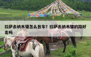 拉萨去纳木错怎么包车？拉萨去纳木错的路好走吗