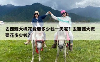 去西藏大概花费要多少钱一天呢？去西藏大概要花多少钱?