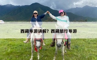 西藏导游讲解？西藏旅行导游