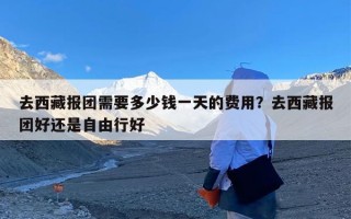 去西藏报团需要多少钱一天的费用？去西藏报团好还是自由行好