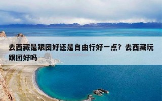 去西藏是跟团好还是自由行好一点？去西藏玩跟团好吗