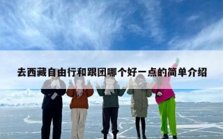 去西藏自由行和跟团哪个好一点的简单介绍