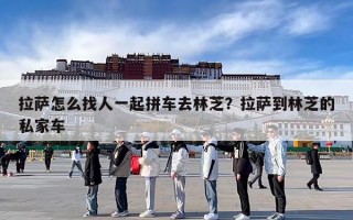 拉萨怎么找人一起拼车去林芝？拉萨到林芝的私家车