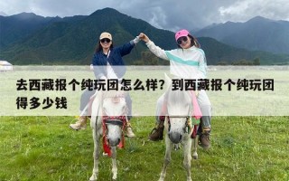 去西藏报个纯玩团怎么样？到西藏报个纯玩团得多少钱