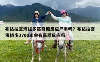 布达拉宫海拔多高高原反应严重吗？布达拉宫海拔多3700米会有高原反应吗