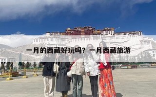 一月的西藏好玩吗？一月西藏旅游