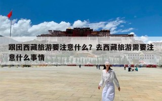 跟团西藏旅游要注意什么？去西藏旅游需要注意什么事情