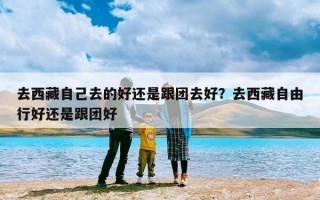 去西藏自己去的好还是跟团去好？去西藏自由行好还是跟团好