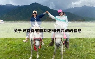 关于只有春节假期怎样去西藏的信息