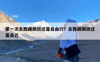 第一次去西藏跟团还是自由行？去西藏跟团还是自己