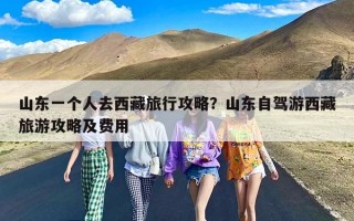 山东一个人去西藏旅行攻略？山东自驾游西藏旅游攻略及费用