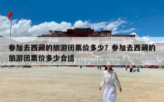 参加去西藏的旅游团票价多少？参加去西藏的旅游团票价多少合适
