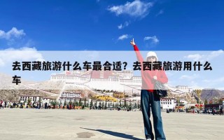 去西藏旅游什么车最合适？去西藏旅游用什么车
