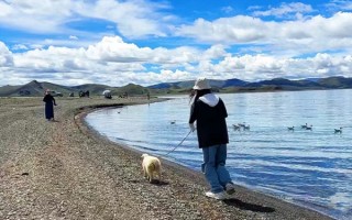 四个人去西藏大概多少钱一人？4个西藏旅游大概花费多少钱？