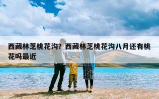 西藏林芝桃花沟？西藏林芝桃花沟八月还有桃花吗最近