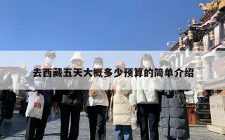 去西藏五天大概多少预算的简单介绍
