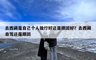 去西藏是自己个人独行好还是跟团好？去西藏自驾还是跟团