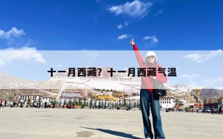 十一月西藏？十一月西藏气温