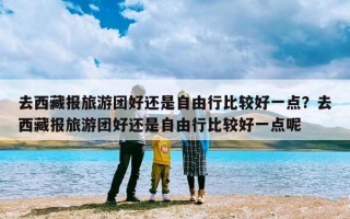 去西藏报旅游团好还是自由行比较好一点？去西藏报旅游团好还是自由行比较好一点呢