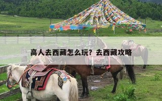 高人去西藏怎么玩？去西藏攻略