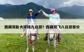 西藏双卧大环线九日游？西藏双飞八日游报价