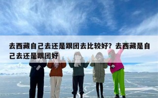 去西藏自己去还是跟团去比较好？去西藏是自己去还是跟团好