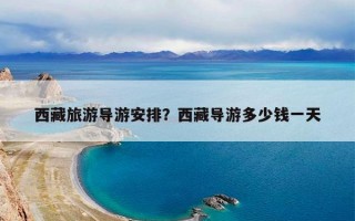 西藏旅游导游安排？西藏导游多少钱一天