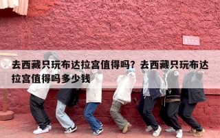 去西藏只玩布达拉宫值得吗？去西藏只玩布达拉宫值得吗多少钱