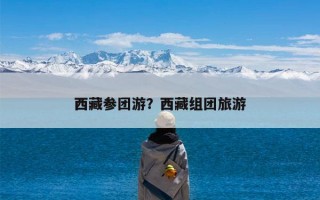 西藏参团游？西藏组团旅游