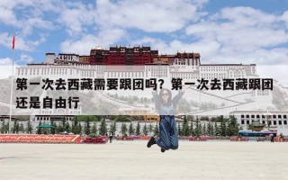 第一次去西藏需要跟团吗？第一次去西藏跟团还是自由行