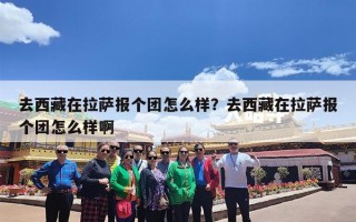 去西藏在拉萨报个团怎么样？去西藏在拉萨报个团怎么样啊