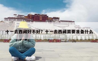 十一去西藏好不好？十一去西藏需要准备什么