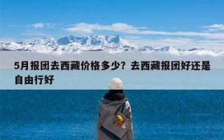5月报团去西藏价格多少？去西藏报团好还是自由行好