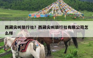 西藏尖叫旅行社？西藏尖叫旅行社有限公司怎么样