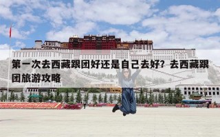 第一次去西藏跟团好还是自己去好？去西藏跟团旅游攻略