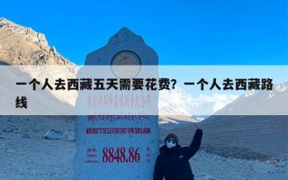一个人去西藏五天需要花费？一个人去西藏路线