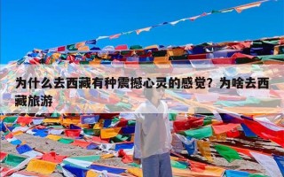 为什么去西藏有种震撼心灵的感觉？为啥去西藏旅游