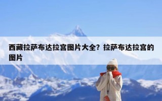 西藏拉萨布达拉宫图片大全？拉萨布达拉宫的图片