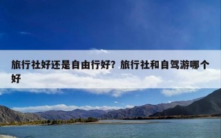 旅行社好还是自由行好？旅行社和自驾游哪个好