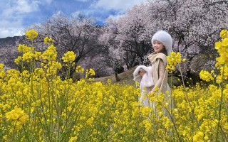 去拉萨旅游应该带些什么东西？去拉萨玩要准备哪些东西呢？