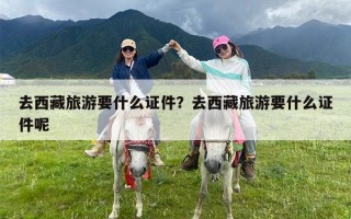 去西藏旅游要什么证件？去西藏旅游要什么证件呢